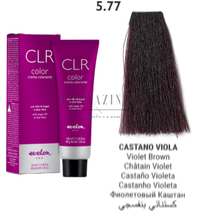 Parisienne Italia Evelon Pro CLR Color Coloring cream with Argan oil & Aloe vera Violet 100 ml.